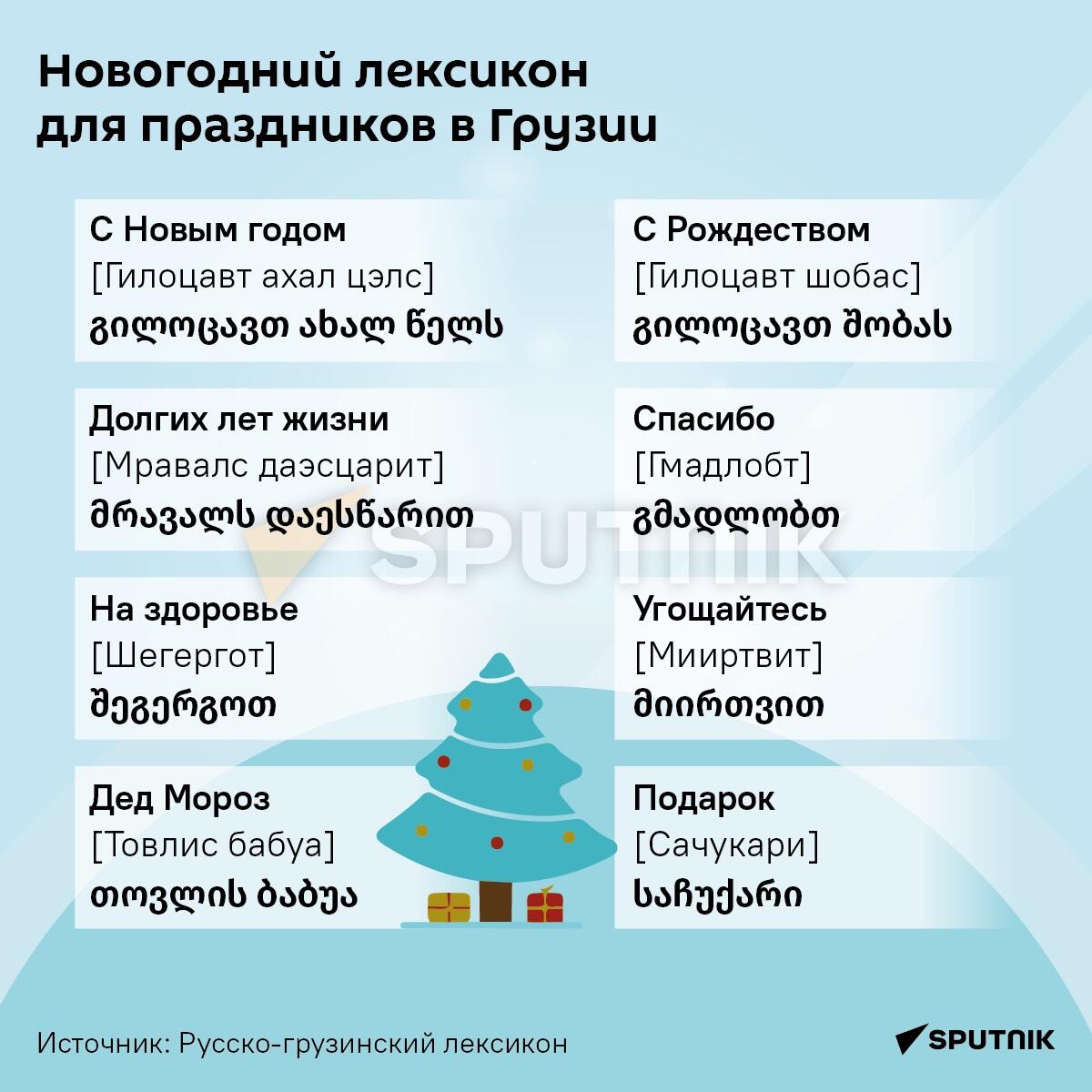 Новогодний лексикон для праздников в Грузии - Sputnik Грузия