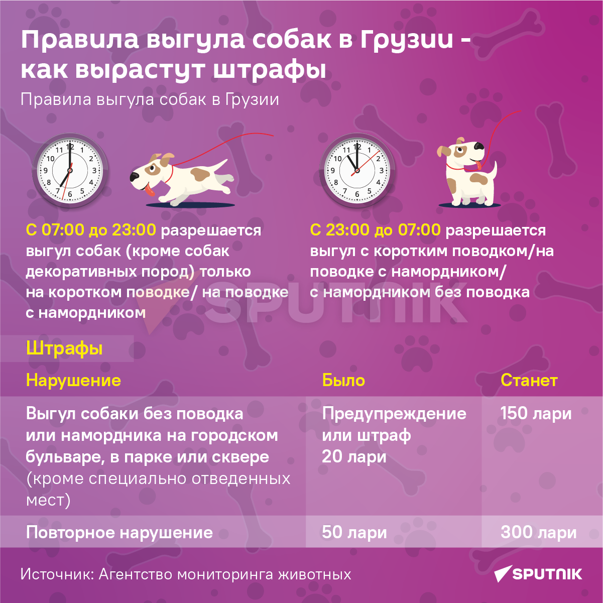Штрафы за выгул собак - инфографика - Sputnik Грузия