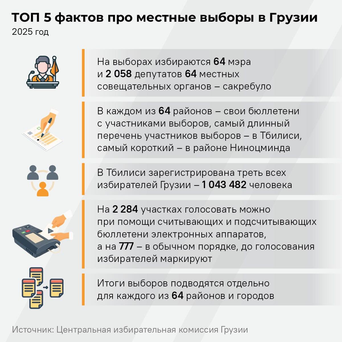 Топ-5 фактов про местные выборы в Грузии - Sputnik Грузия