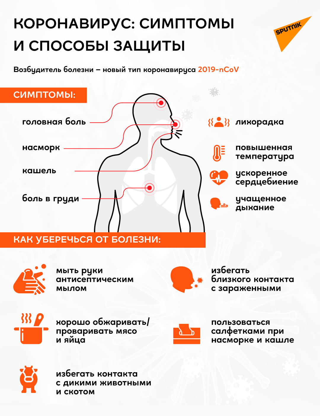 Коронавирус: симптомы и защита от него - Sputnik Грузия
