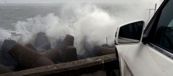 ზღვა ზღვა - Sputnik საქართველო