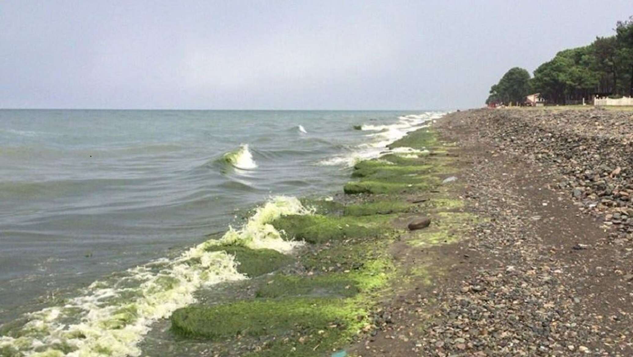 грузинский пляж