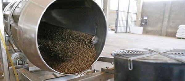 Предприятие по производству комбикормов - Sputnik Грузия