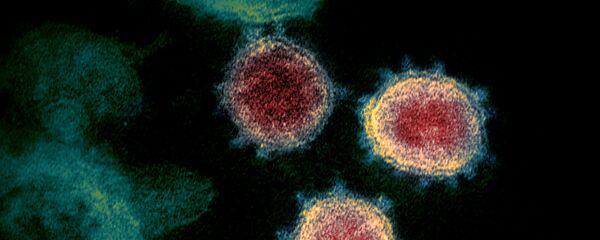 Коронавирус под микроскопом  - Sputnik Грузия