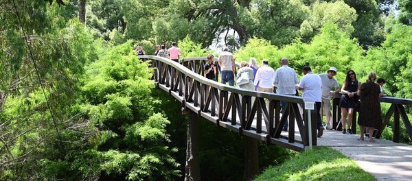 დენდროპარკი შეკვეთილში დენდროპარკი შეკვეთილში - Sputnik საქართველო