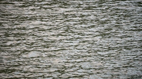 გორის მუნიციპალიტეტში ტირიფონის მაგისტრალური არხის ნაწილის რეაბილიტაცია დასრულდა