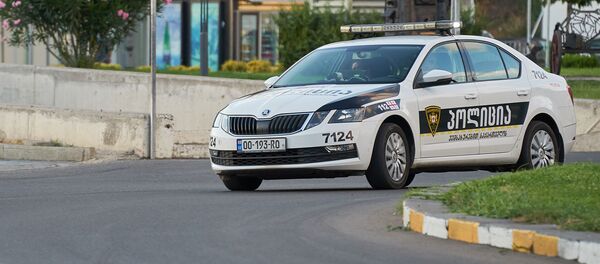 საპატრულო პოლიცია საპატრულო პოლიცია - Sputnik საქართველო