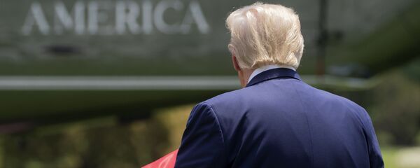 Президент США Дональд Трамп - Sputnik Грузия