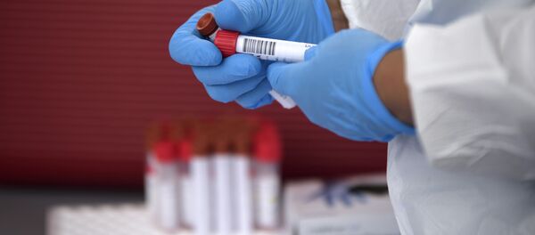 ტესტი ტესტი - Sputnik საქართველო