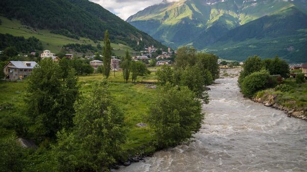სვანეთის მდინარეებში წითელ ნუსხაში შეყვანილი ნაკადულის კალმახის პოპულაცია გაიზარდა