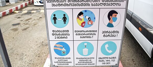 Борьба с коронавирусом. Термоскрининг на рынке Лило - Sputnik Грузия