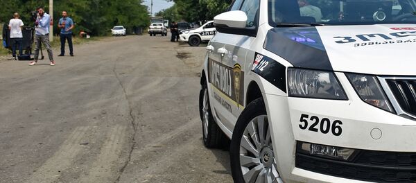 საპატრულო პოლიცია - Sputnik საქართველო