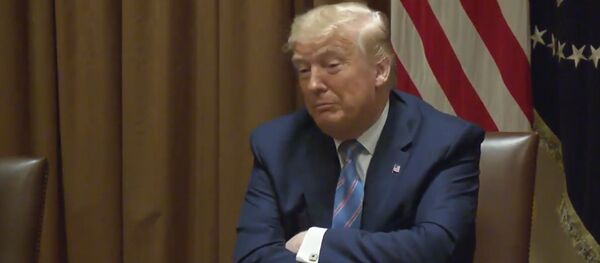 პენტაგონის მეთაურმა გერმანიიდან აშშ-ის ჯარების გაყვანის შესახებ ისაუბრა - Sputnik საქართველო