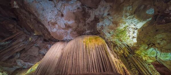 Снимки, сделанные фотографом Георгием Шермазанашвили, в рамках проекта Фотографы для Грузии - Sputnik Грузия