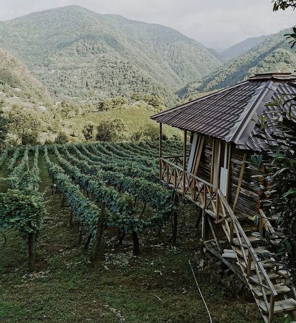 კლდეზე დაკიდებული კოტეჯი აჭარაში, რომელმაც ინტერნეტ-სივრცე აღაფრთოვანა კლდეზე დაკიდებული კოტეჯი აჭარაში, რომელმაც ინტერნეტ-სივრცე აღაფრთოვანა - Sputnik საქართველო