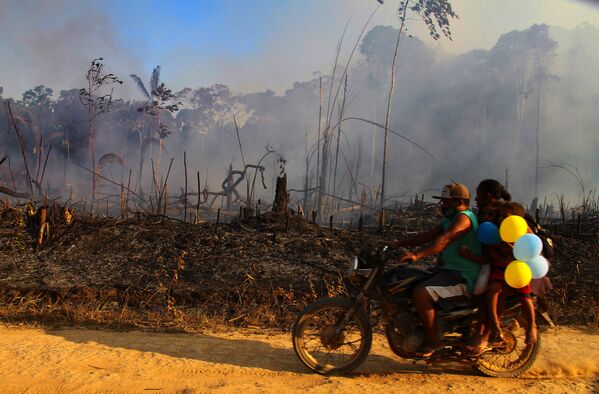 Тем не менее, президент Бразилии Жаир Болсонару опроверг существование пожаров в дождевых лесах Амазонии - Sputnik Грузия