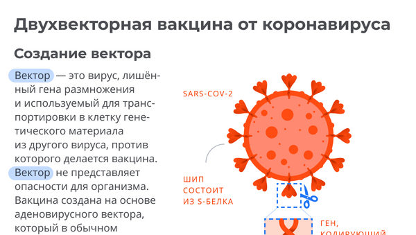 Российская вакцина от коронавируса: как работает препарат - Sputnik Грузия