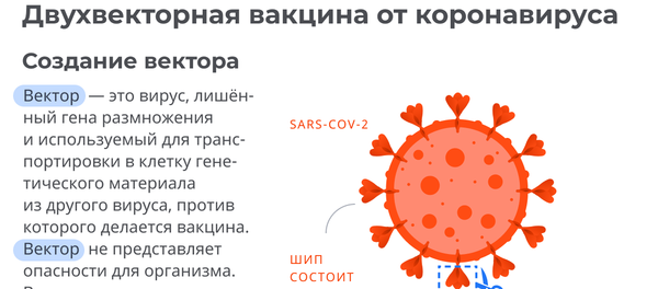 Российская вакцина от коронавируса: как работает препарат - Sputnik Грузия
