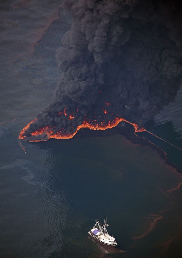 Разлив нефти из-за взрыва платформы Deepwater Horizon нанес непоправимый ущерб экосистеме Мексиканского залива.  Для того, чтобы на болотах вновь начала развиваться жизнь, понадобилось девять лет - Sputnik Грузия