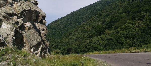 Природа Лорийской области Природа Лорийской области - Sputnik Грузия