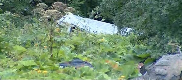 Видео с места страшной трагедии в Шатили: кадры разбитого микроавтобуса - Sputnik Грузия