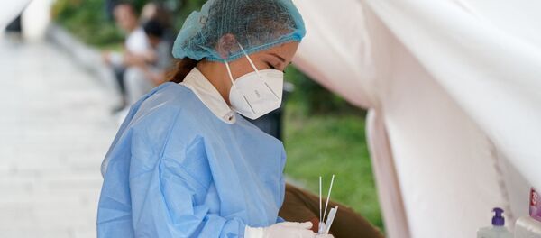 ტესტირება ტესტირება - Sputnik საქართველო