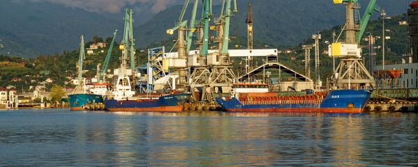 Грузовые и торговые суда в Батумском морском порту - Sputnik Грузия