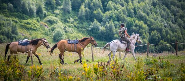 Военно-Грузинская дорога. Путешествия на машине Делика. Горные пейзажи - Джута - Sputnik Грузия