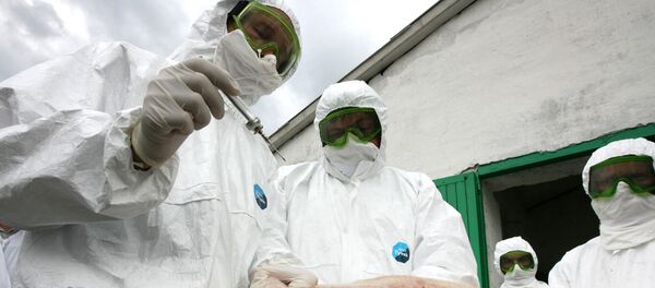 Профилактические меры против африканской чумы - Sputnik Грузия