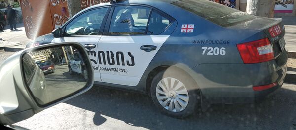 Патрульная полиция Патрульная полиция - Sputnik Грузия