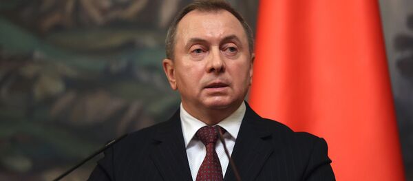 Макей заявил о предотвращении попытки цветной революции в Беларуси - видео - Sputnik Грузия