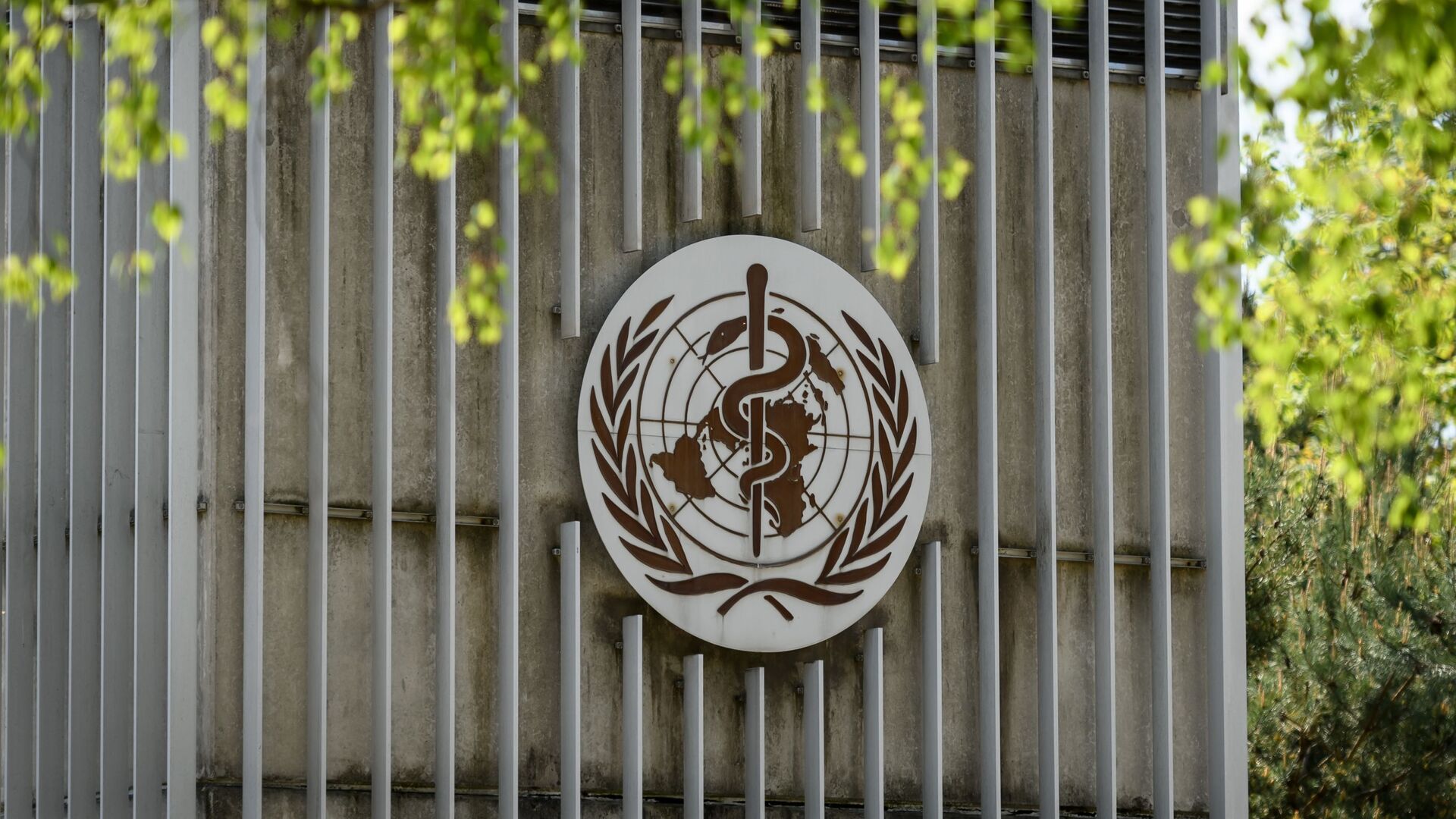 Всемирная организация здравоохранения - Sputnik Грузия, 1920, 29.11.2021
