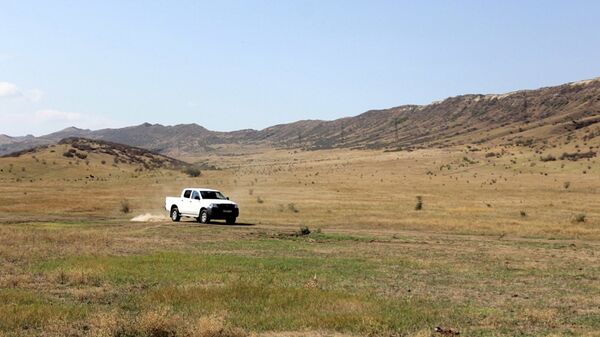 დამრღვევების დაკავება - Sputnik საქართველო