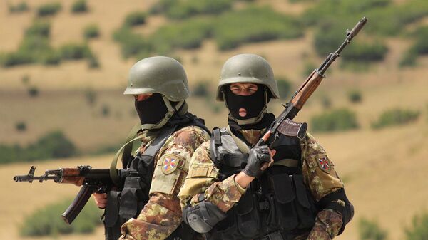 ქართველი მესაზღვრეები - Sputnik საქართველო