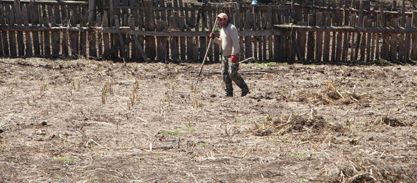 ხულოში ფერმერი მიწას ამუშავებს ხულოში ფერმერი მიწას ამუშავებს - Sputnik საქართველო