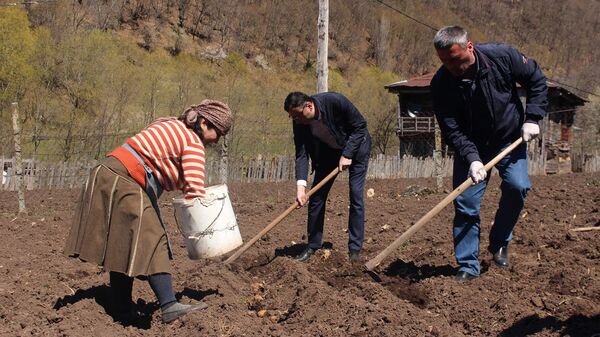 Район Хуло, высокогорная Аджария. Обработка фермерами земель сельскохозяйственного назначения  - Sputnik Грузия