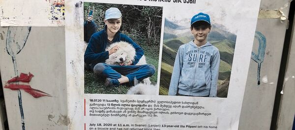 Объявление о розыске пропавшего Ильи Пилпани Объявление о розыске пропавшего Ильи Пилпани - Sputnik Грузия
