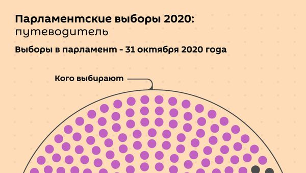 Парламентские выборы 2020 в Грузии: путеводитель - Sputnik Грузия