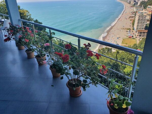 Calypso kvariati: წარმატებული საოჯახო ბიზნესის ამბავი Calypso kvariati: წარმატებული საოჯახო ბიზნესის ამბავი - Sputnik საქართველო