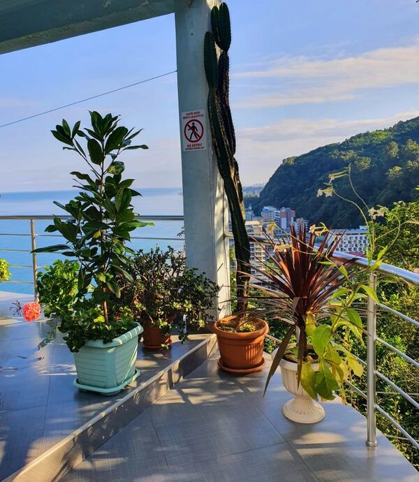 Calypso kvariati: წარმატებული საოჯახო ბიზნესის ამბავი Calypso kvariati: წარმატებული საოჯახო ბიზნესის ამბავი - Sputnik საქართველო