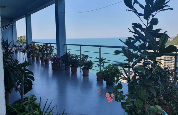 Calypso kvariati: წარმატებული საოჯახო ბიზნესის ამბავი Calypso kvariati: წარმატებული საოჯახო ბიზნესის ამბავი - Sputnik საქართველო