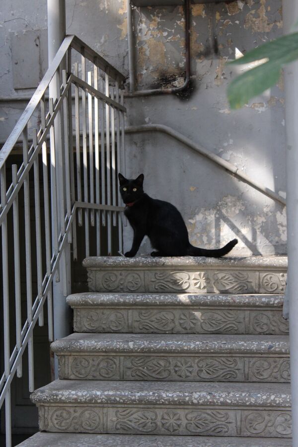 История дома №16 на Мачабели, или О тифлисской династии Алихановых из первых уст - Sputnik Грузия