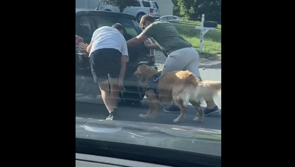 Пес помог хозяевам толкать сломавшуюся машину по дороге – потрясающее видео - Sputnik Грузия
