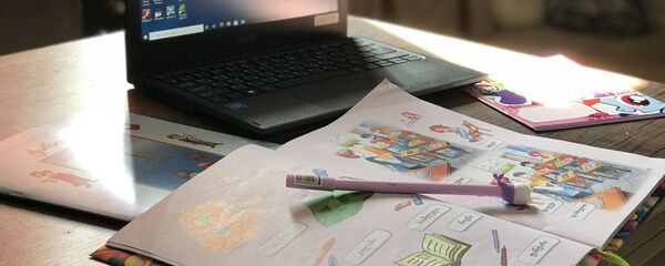 დისტანციური სწავლება - Sputnik საქართველო