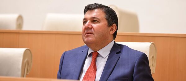  Депутата Энзел Мкоян - Sputnik Грузия