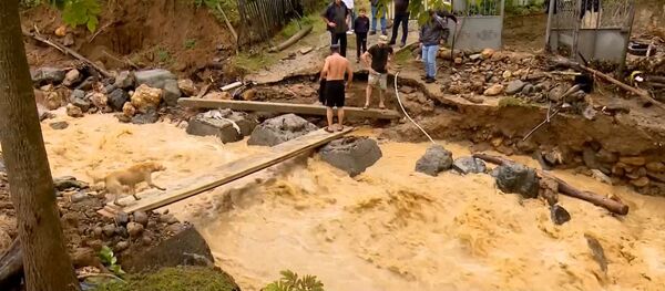 Наводнение и оползни в горной Аджарии после ливневых дождей: видео с места ЧП - Sputnik Грузия