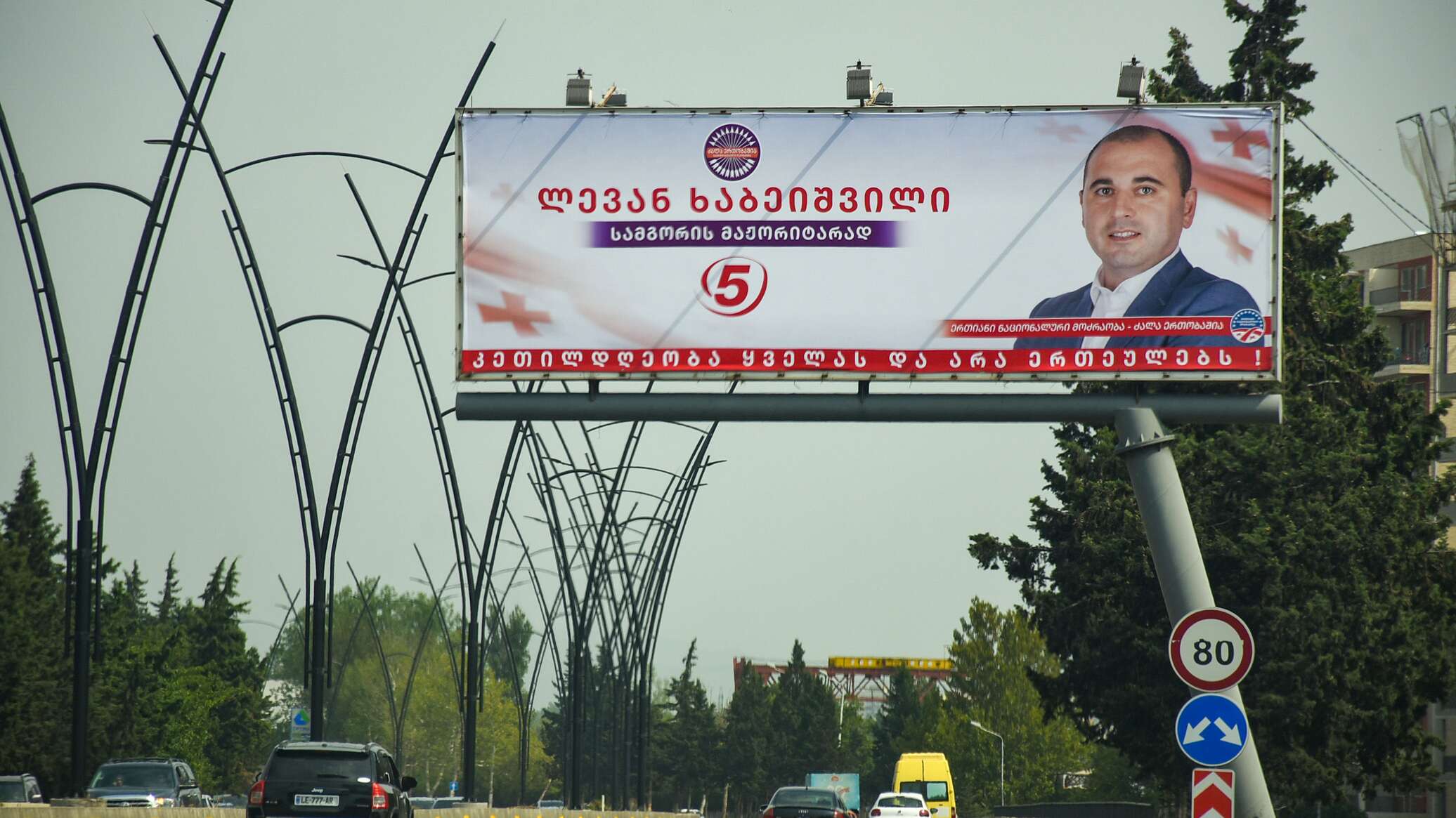 Результат выборов грузии