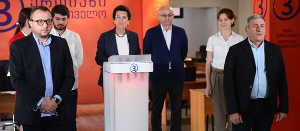 ნინო ბურჯანაძე და მისი პარტიის წევრები ნინო ბურჯანაძე და მისი პარტიის წევრები - Sputnik საქართველო