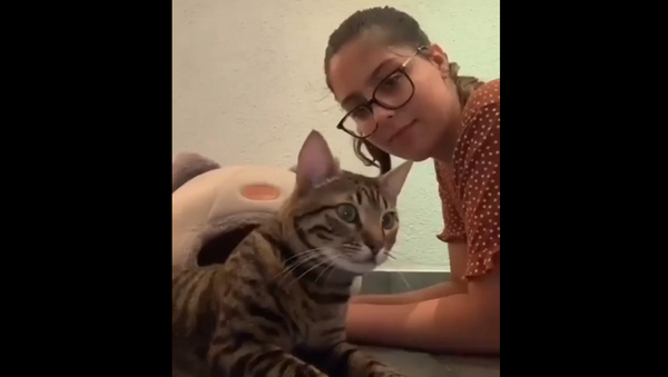 Девушка весь день копировала поведение своих кошек, и их реакции бесценны – видео - Sputnik Грузия