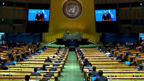 Совбез ООН хотят расширить: что нужно для сохранения мира - видео - Sputnik Грузия